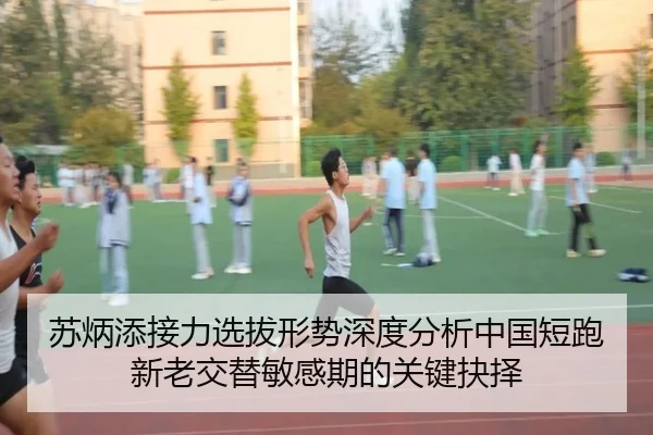 苏炳添接力选拔形势深度分析中国短跑新老交替敏感期的关键抉择